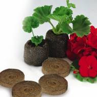 Торф'яні таблетки